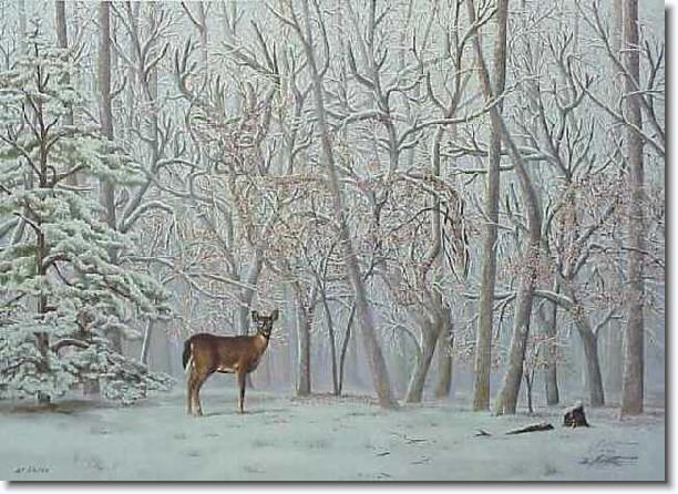 Next slide